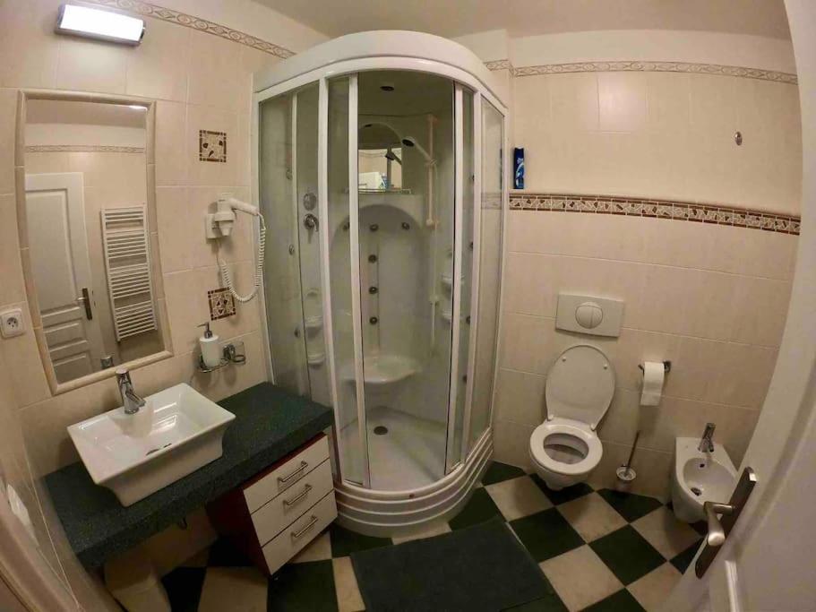 Huge Two Floor Apartment On The Park Colonnade With Free Parking For One Car, 160 Sqm Karlovy Vary Exterior photo
